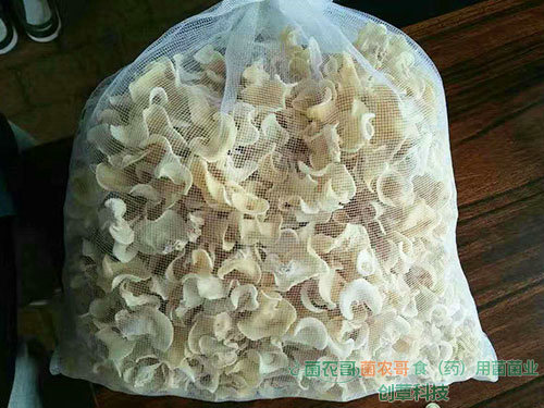 干玉木耳 干玉木耳